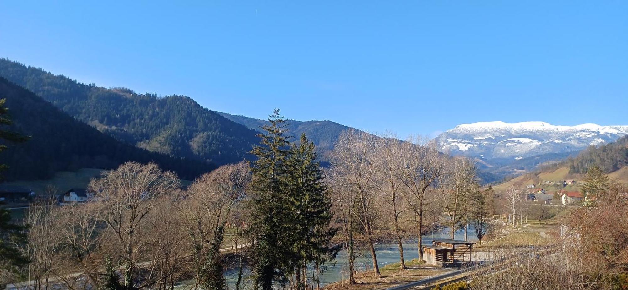 Hotel Planinka Ljubno Kültér fotó