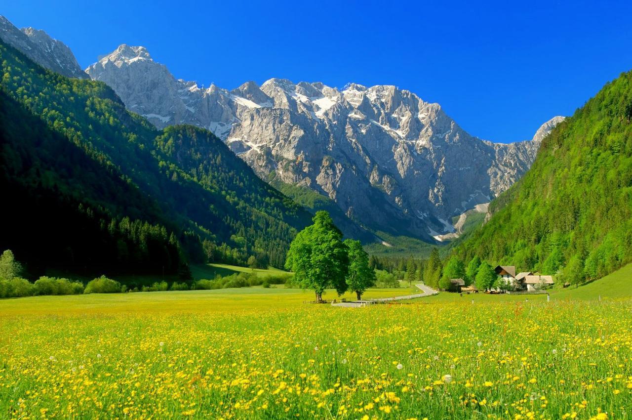 Hotel Planinka Ljubno Kültér fotó